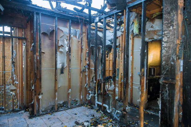 Professional Fire Damage Assessment technician working in Vineland, NJ